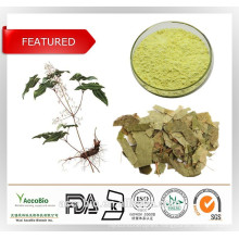 High Purity Epimedium Extract, medicine for long time sex, epimedium icariin 50% 60% 80% 98%